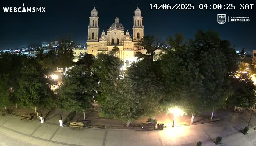 A large cathedral is illuminated at night, surrounded by a plaza with trees and benches under a clear, dark sky.