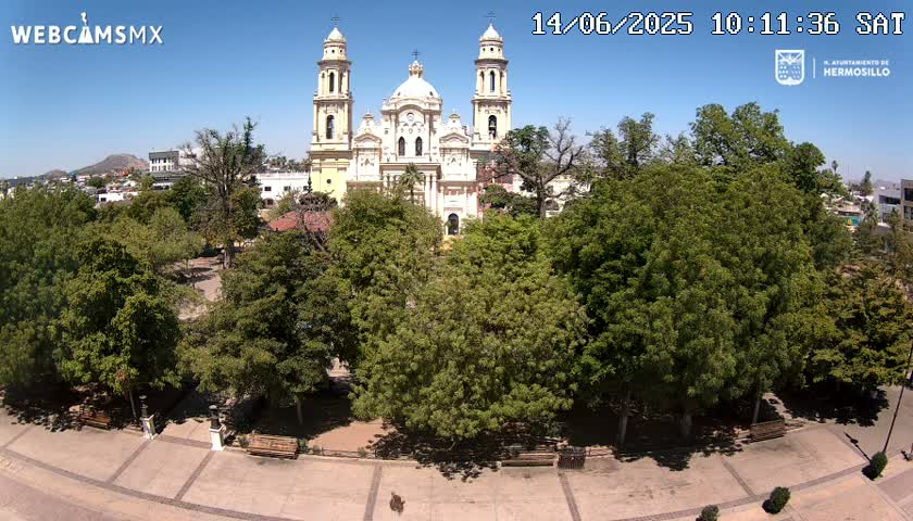 A large cathedral stands behind a plaza filled with leafy green trees and benches under a clear blue sky.