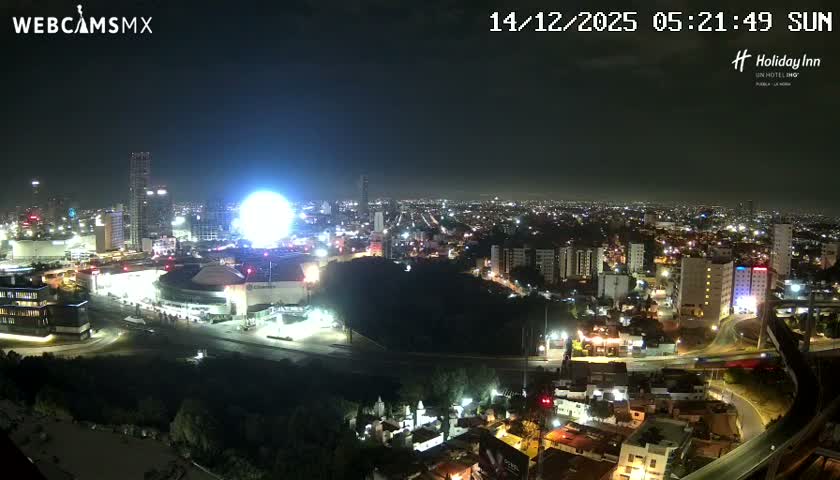 An expansive nighttime view captures a brightly lit city featuring numerous buildings, a prominent domed arena, and a large illuminated Ferris wheel under a clear night sky.