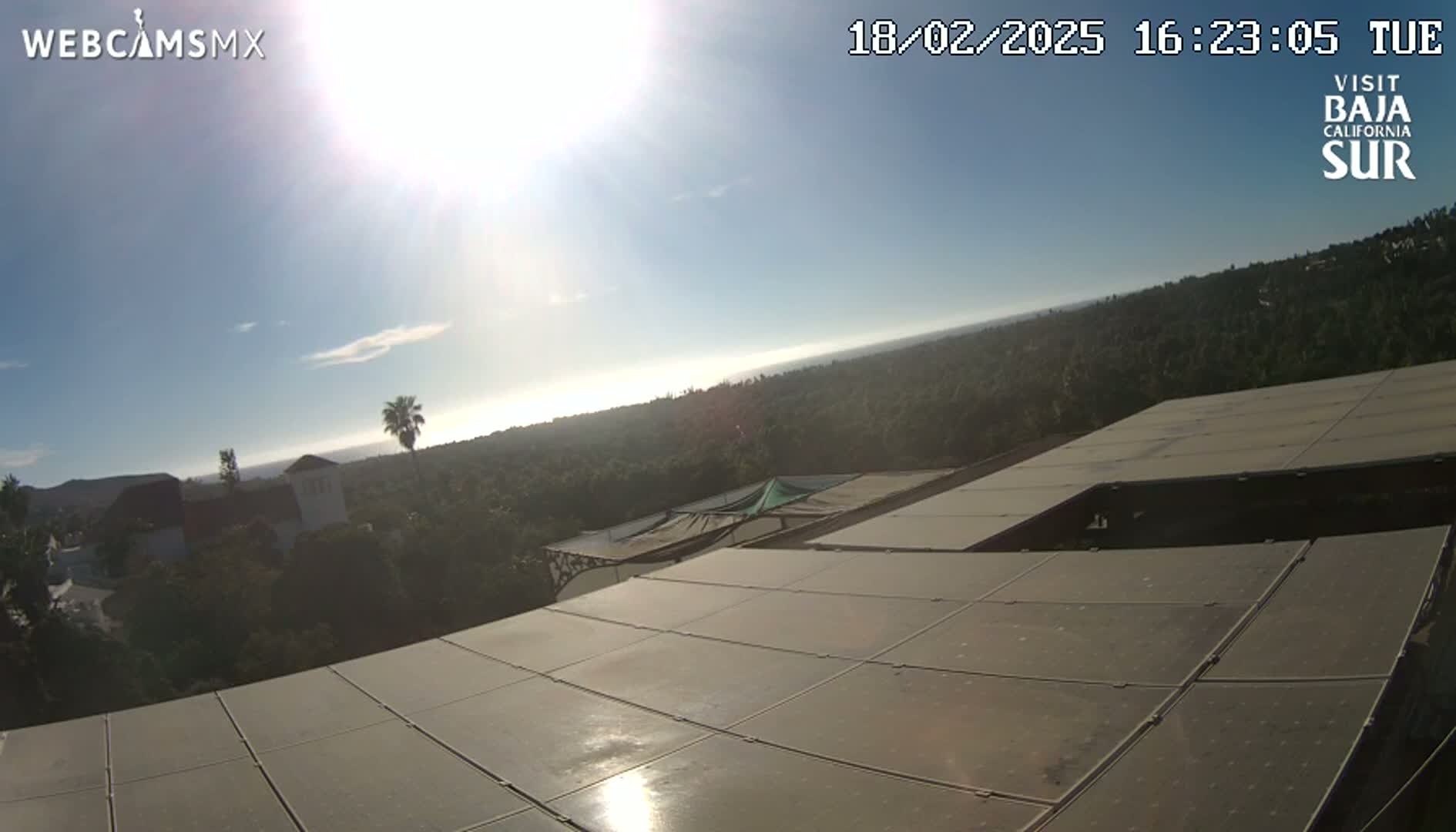 A sunny view from a rooftop shows a large expanse of  trees and ocean in the distance.