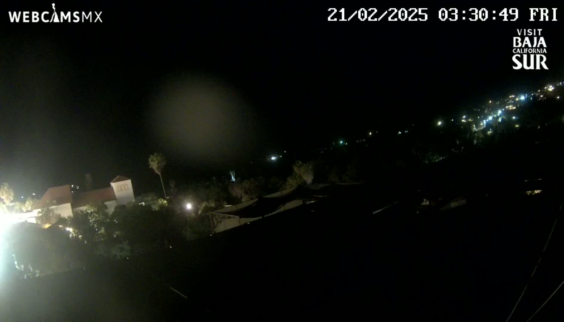 A nighttime view of a building and surrounding vegetation, under a dark, clear sky.