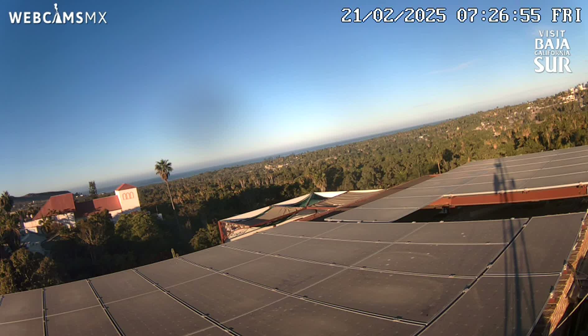 A view from a rooftop showing a large expanse of solar panels, a distant ocean, and a clear blue sky over a landscape of palm trees and buildings.