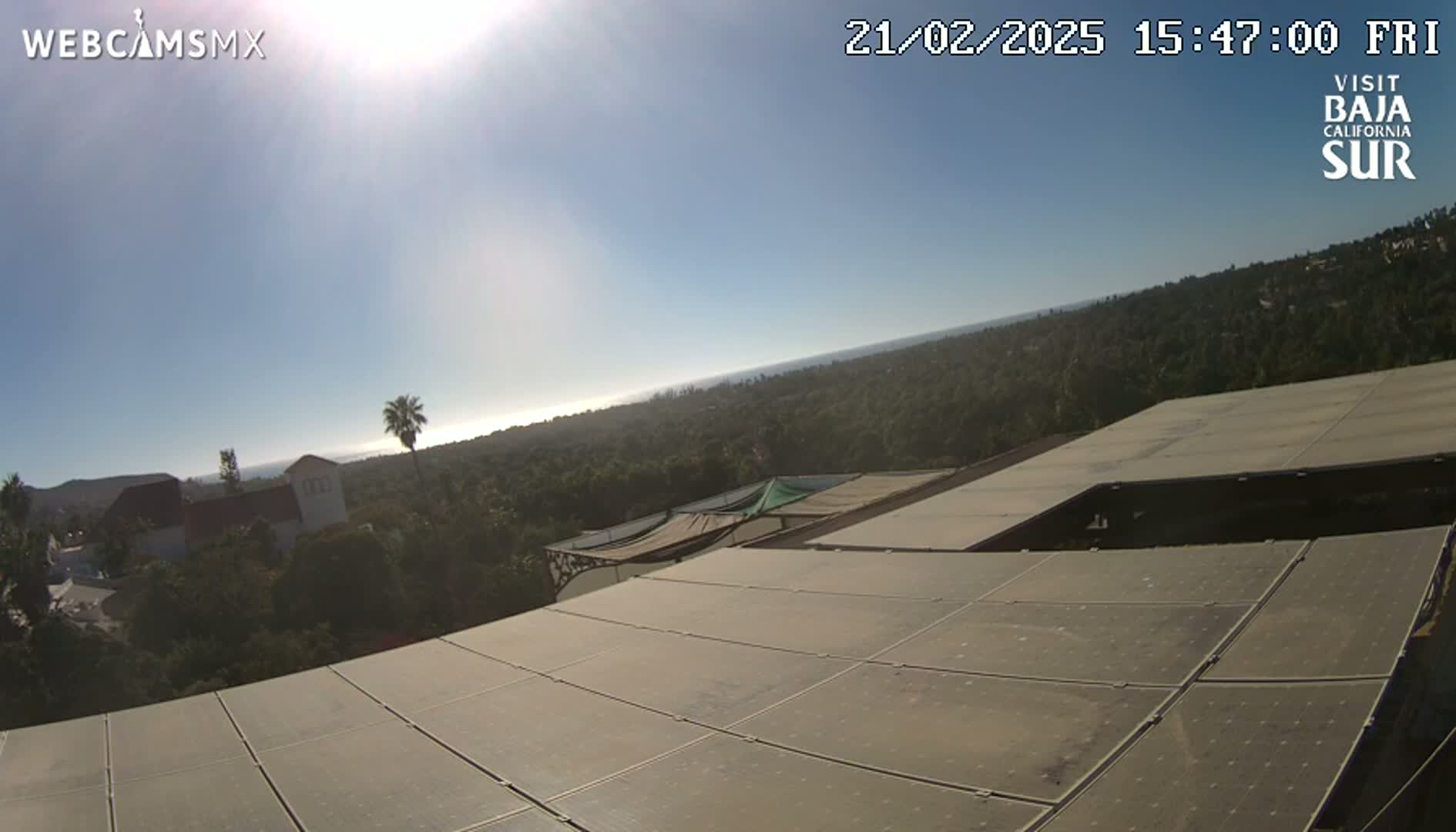 A sunny, daytime view from a rooftop shows a large array of solar panels, overlooking a landscape of trees and a distant ocean.
