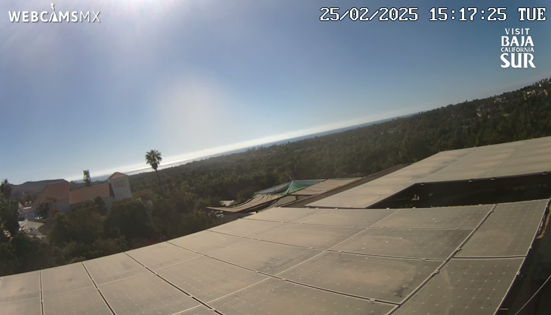 A sunny day reveals a view of a coastline from a vantage point above a large solar panel array on a building overlooking a landscape of trees and buildings.