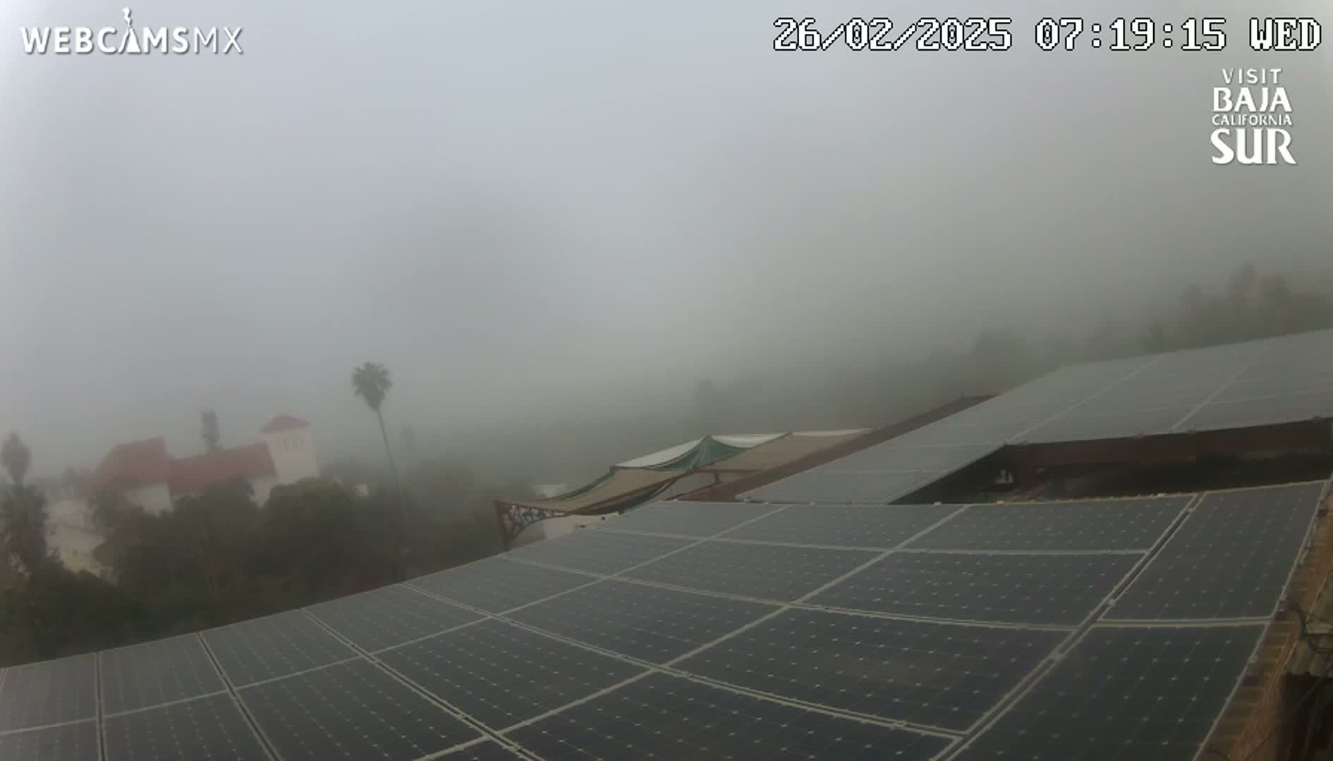 A foggy landscape features a building partially obscured by mist, palm trees, and a large array of solar panels on a roof.