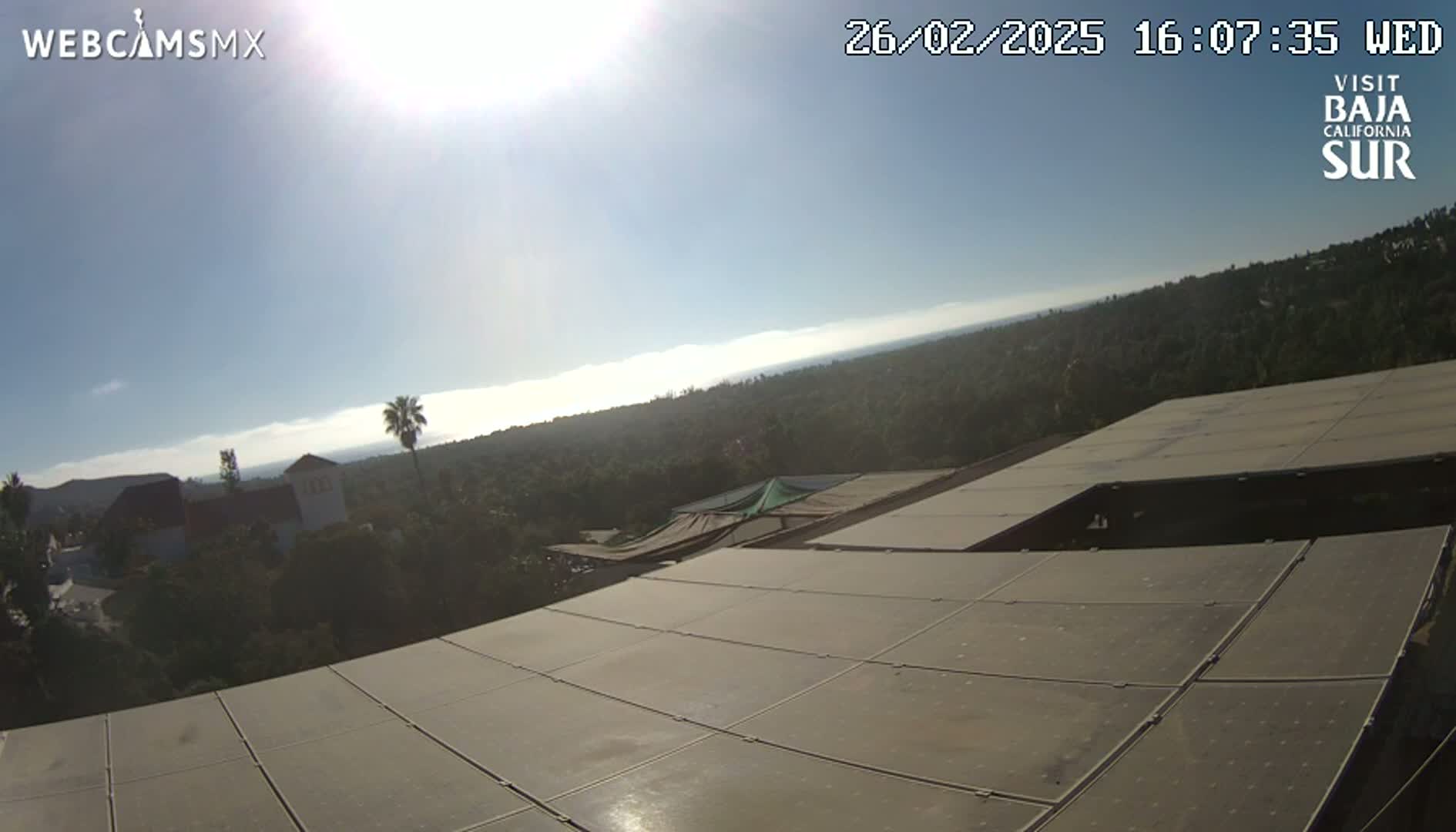 A sunny day overlooking a landscape of trees and buildings, viewed from a rooftop covered in solar panels.