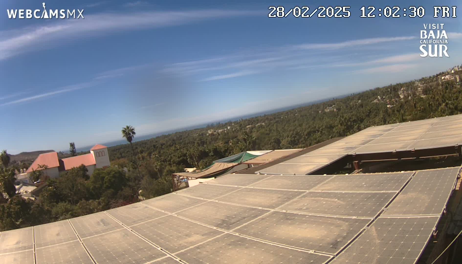A rooftop covered in solar panels overlooks a clear, sunny day with a distant ocean view and lush green landscape featuring buildings and trees.