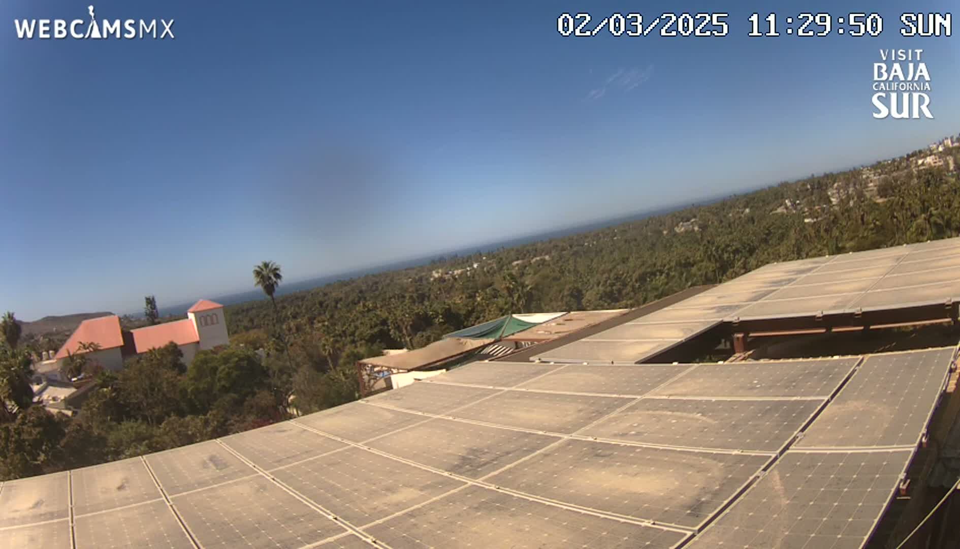 A large solar panel array on a building overlooks a hillside of trees and a distant ocean under a clear blue sky.