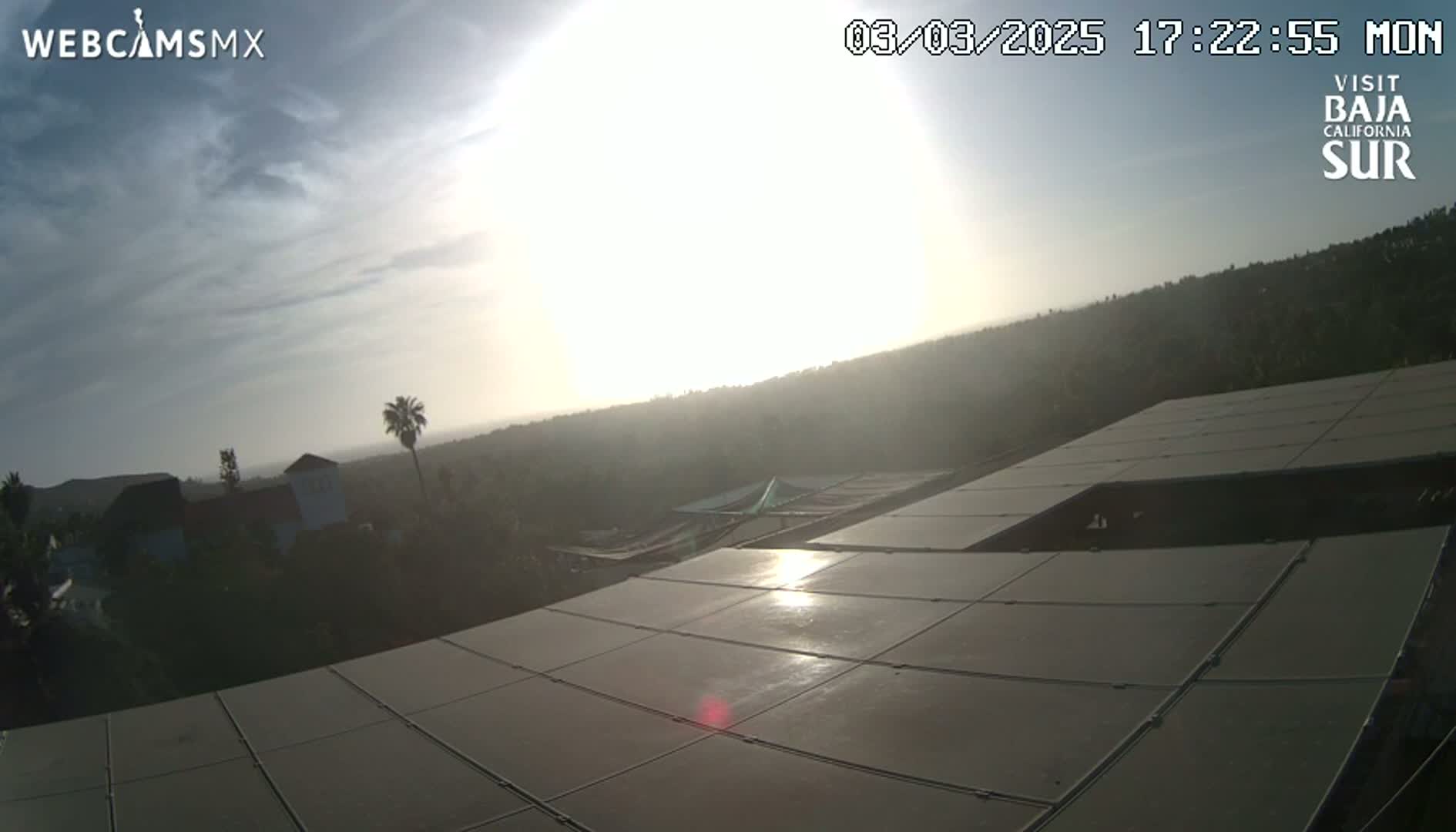 A hazy sunrise illuminates a large solar panel array overlooking a distant hillside with sparse vegetation and buildings.