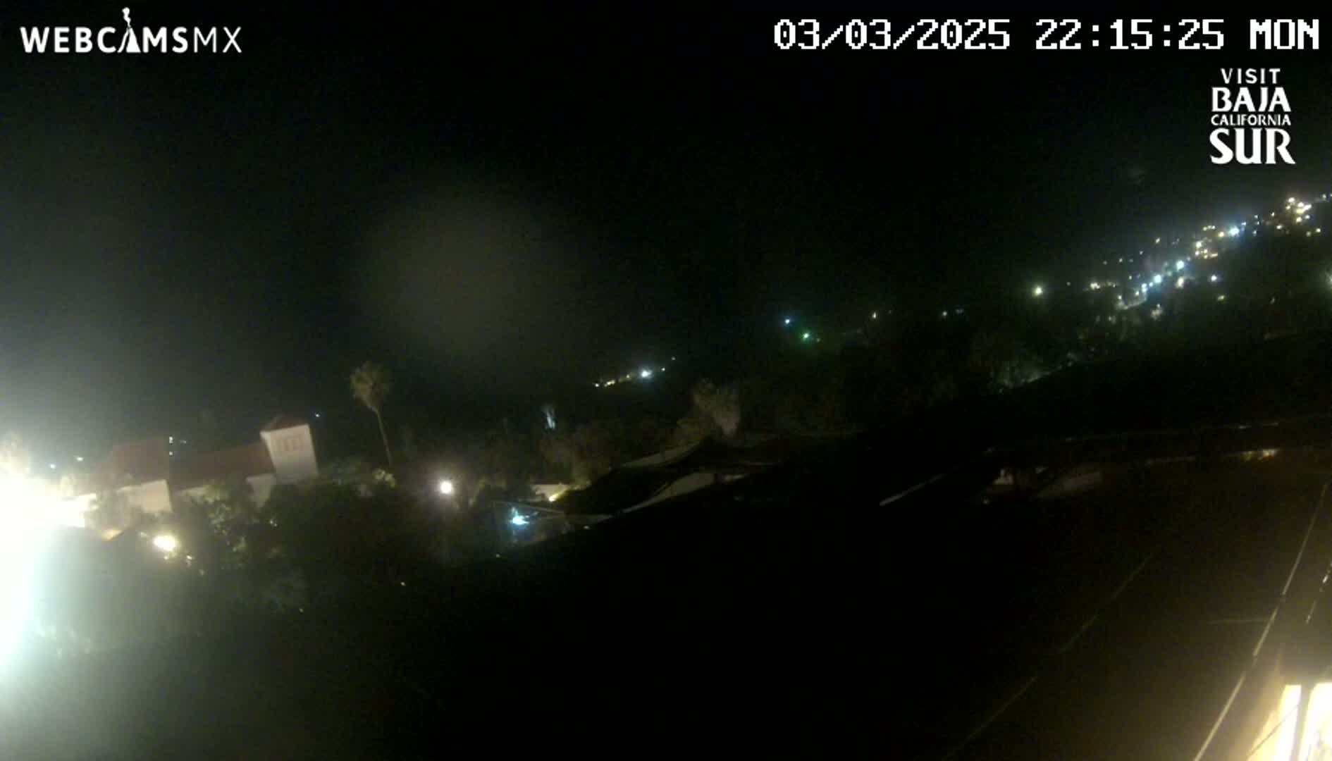 A nighttime, long shot of a town with scattered lights, some buildings, and vegetation under a dark, clear sky.