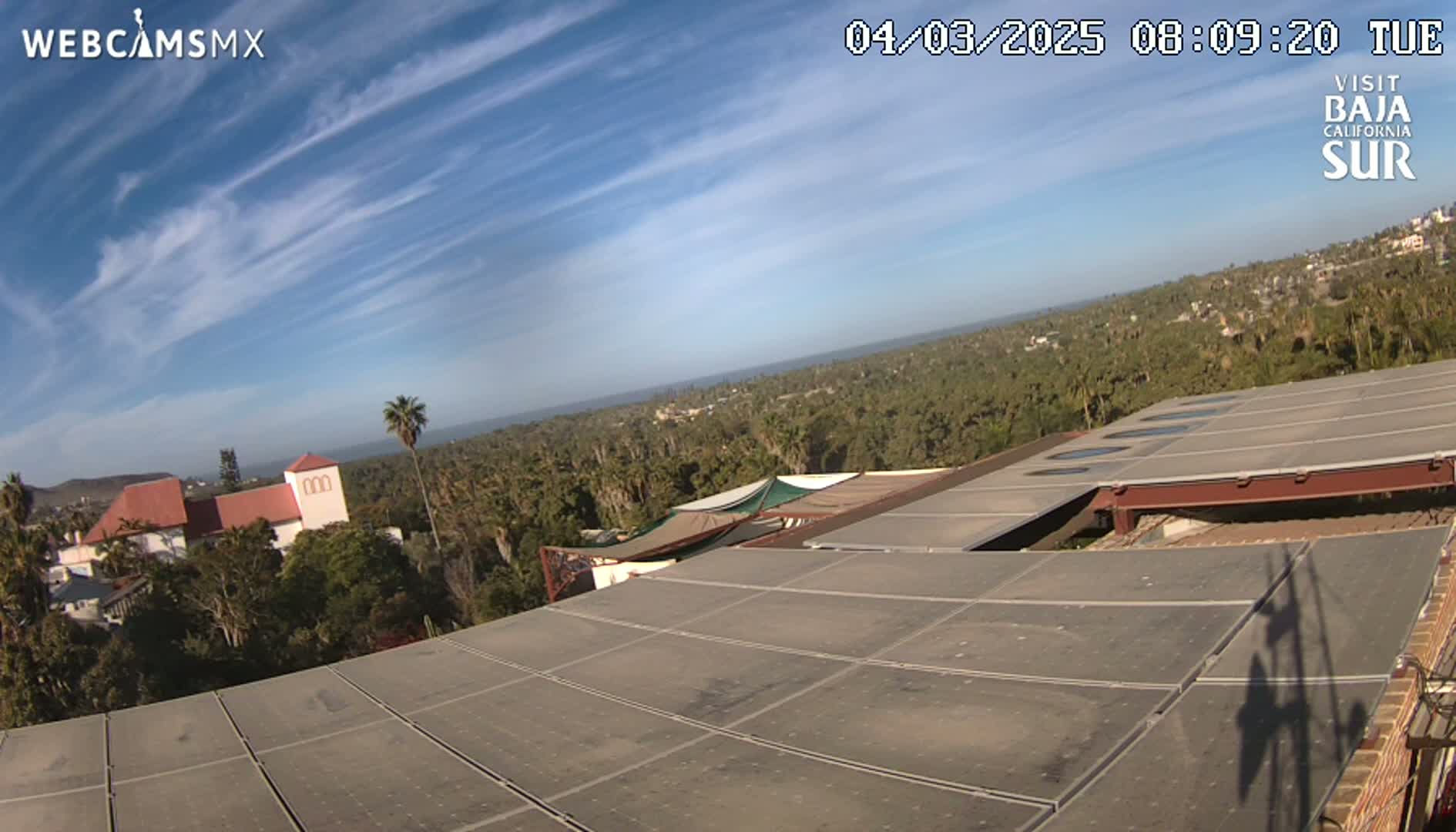 A mostly sunny day overlooking a large expanse of trees and ocean from a rooftop with a large solar panel array.