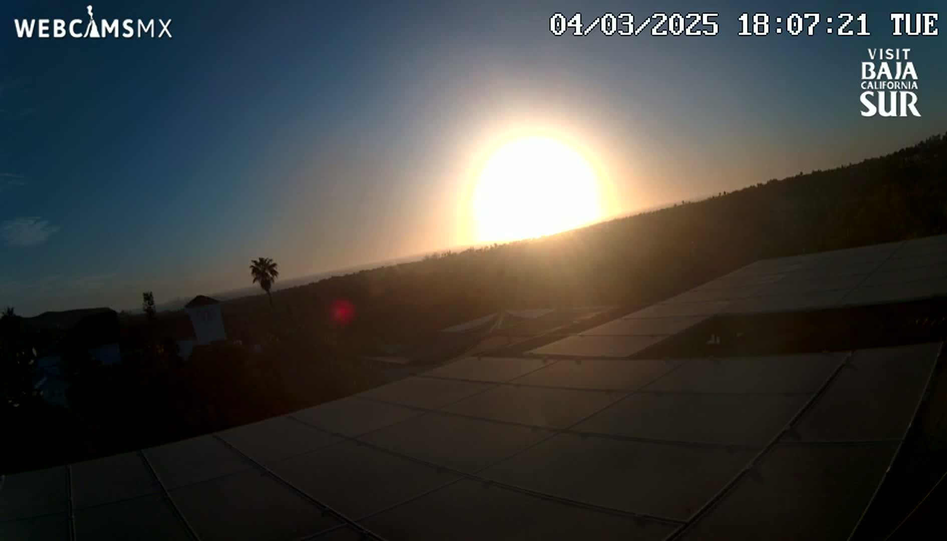 A bright sunset illuminates a hillside with silhouetted vegetation and buildings, partially covering a large solar panel array.