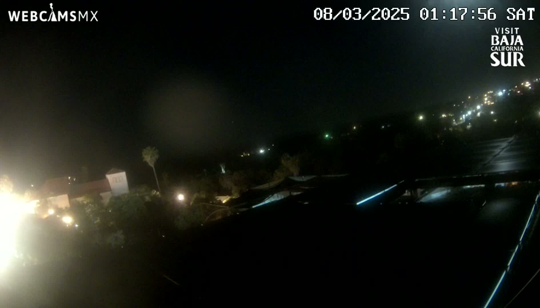 A nighttime view of a dimly lit town with scattered buildings and vegetation, under a dark, possibly overcast sky.