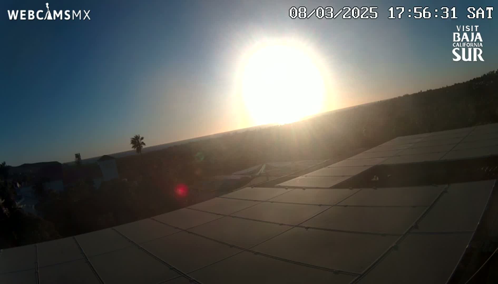 A bright sun sets over a coastal landscape, partially obscuring a view of houses and vegetation, while illuminating a large array of solar panels in the foreground.