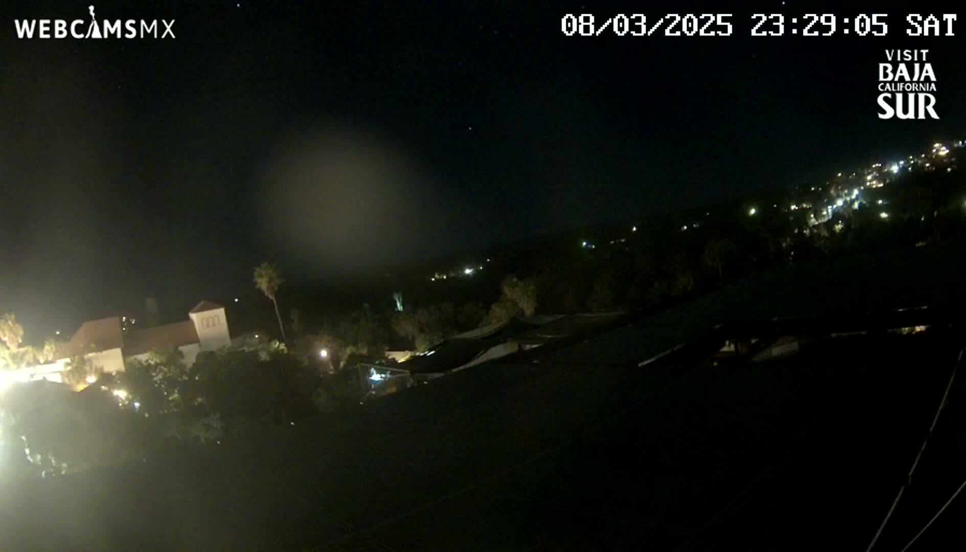 A nighttime view of a town nestled among trees under a clear, starry sky.