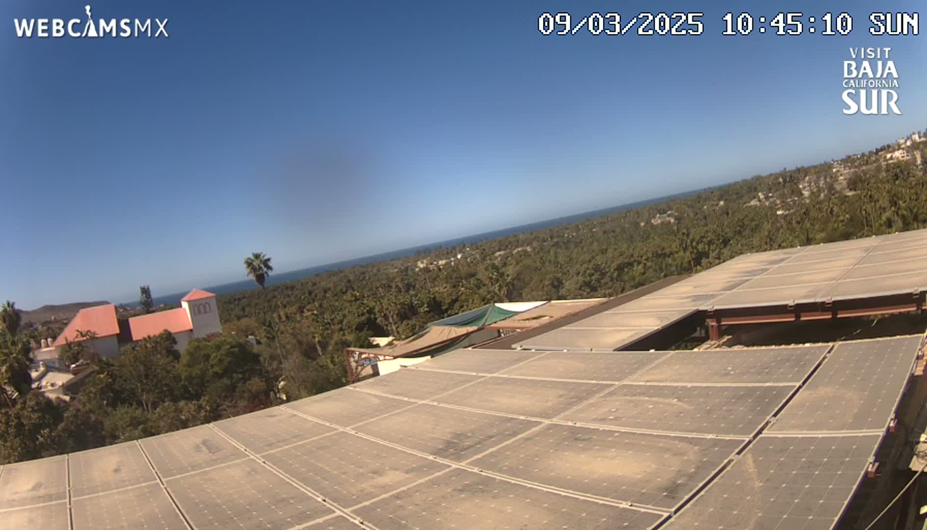 A large array of solar panels on a building overlooks a coastal town dotted with palm trees under a clear blue sky.