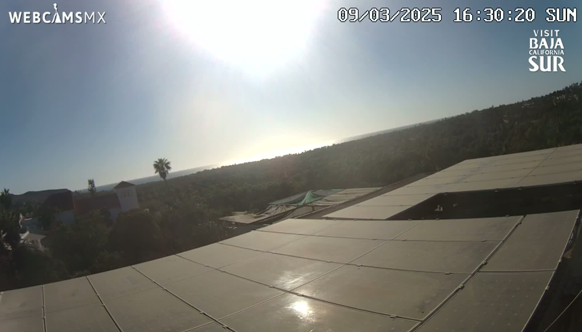 A sunny day overlooking a landscape of green hills and a distant ocean, viewed from a rooftop covered in solar panels.