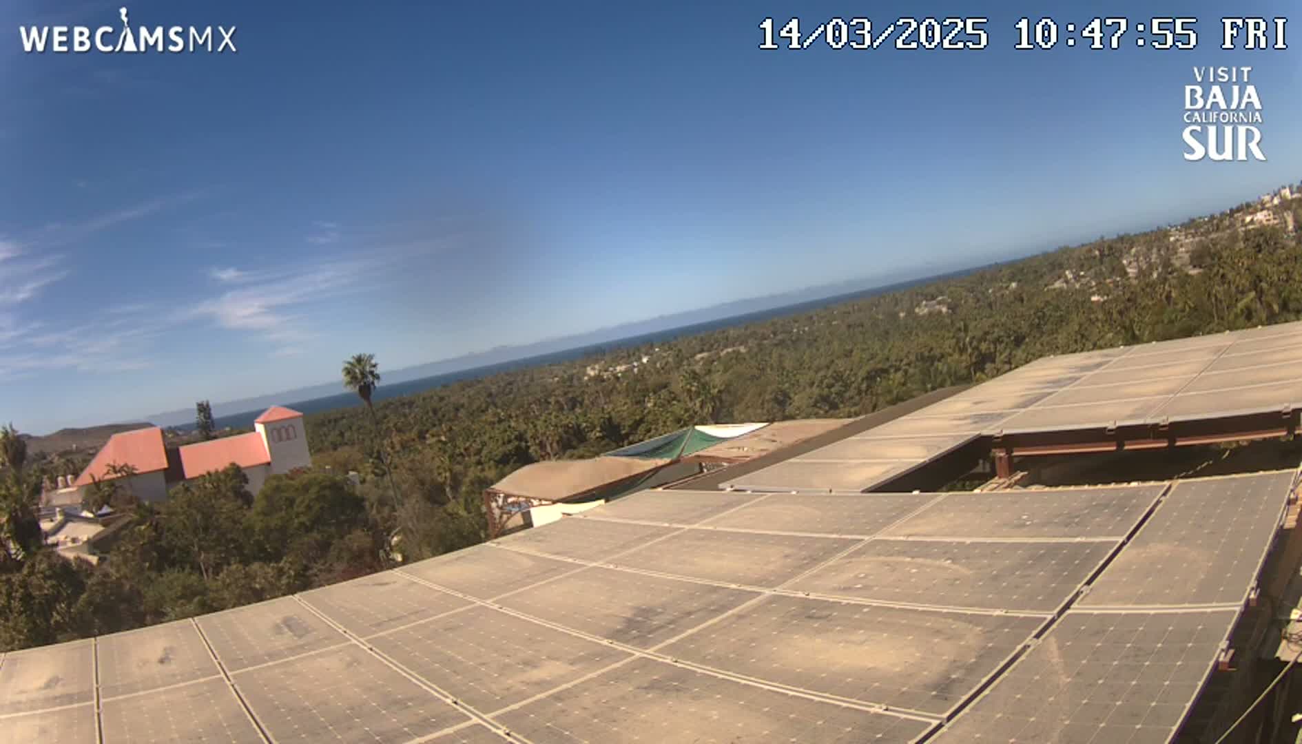 A view from a rooftop of solar panels overlooking a clear, sunny day with a coastal landscape including buildings and palm trees.