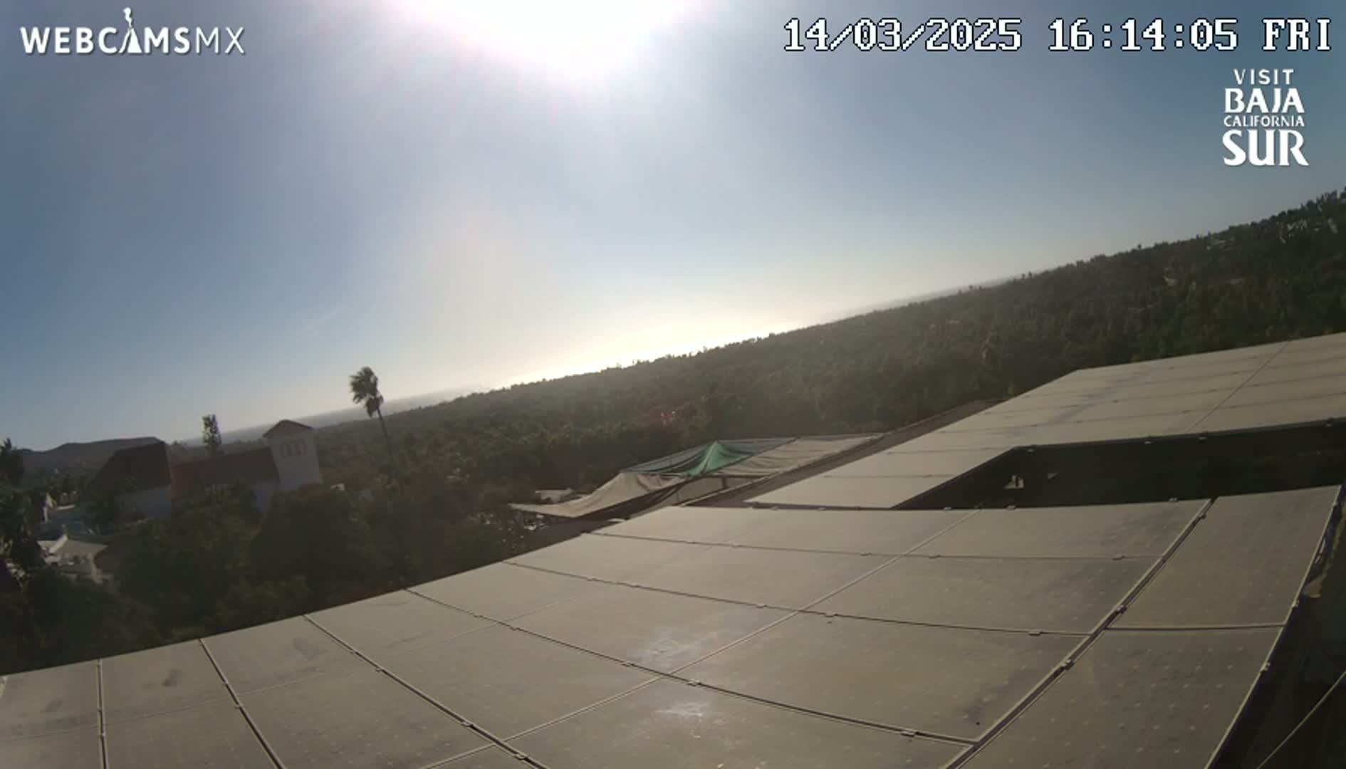 A large solar panel array on a sunny day overlooks a hilly landscape with distant buildings and vegetation.