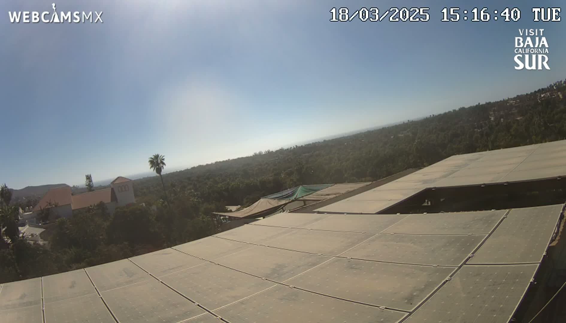 A large array of solar panels sits atop a building overlooking a sunny, tree-covered hillside and distant ocean.
