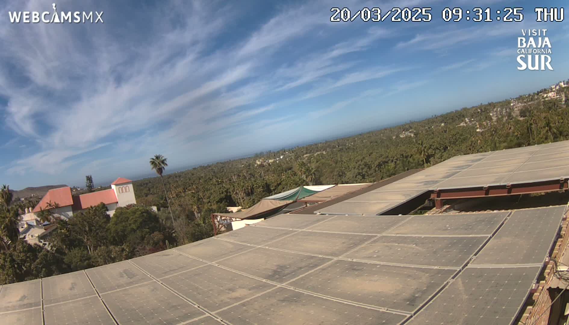 A mostly sunny day with a few scattered clouds overlooks a large solar panel array on a building's roof, with palm trees and other vegetation, and a building in the background.
