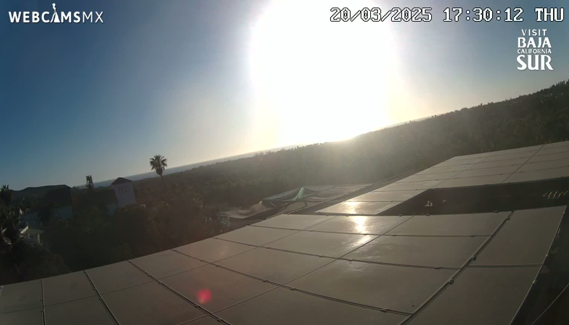 A sunny view overlooking a hillside covered in vegetation, with a large solar panel array in the foreground.