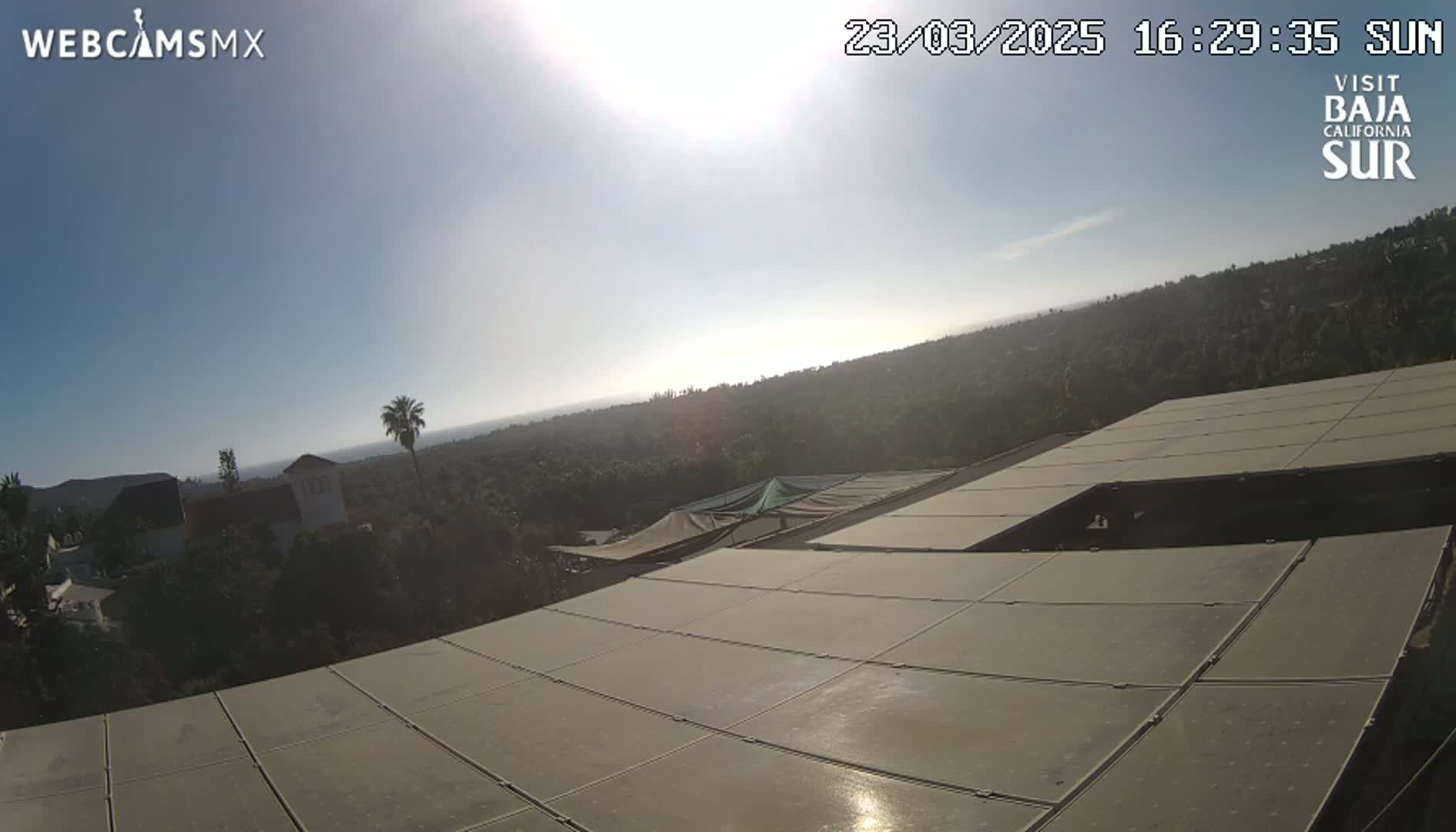 A sunny day overlooking a sprawling landscape of trees and buildings, viewed from a rooftop covered in solar panels.
