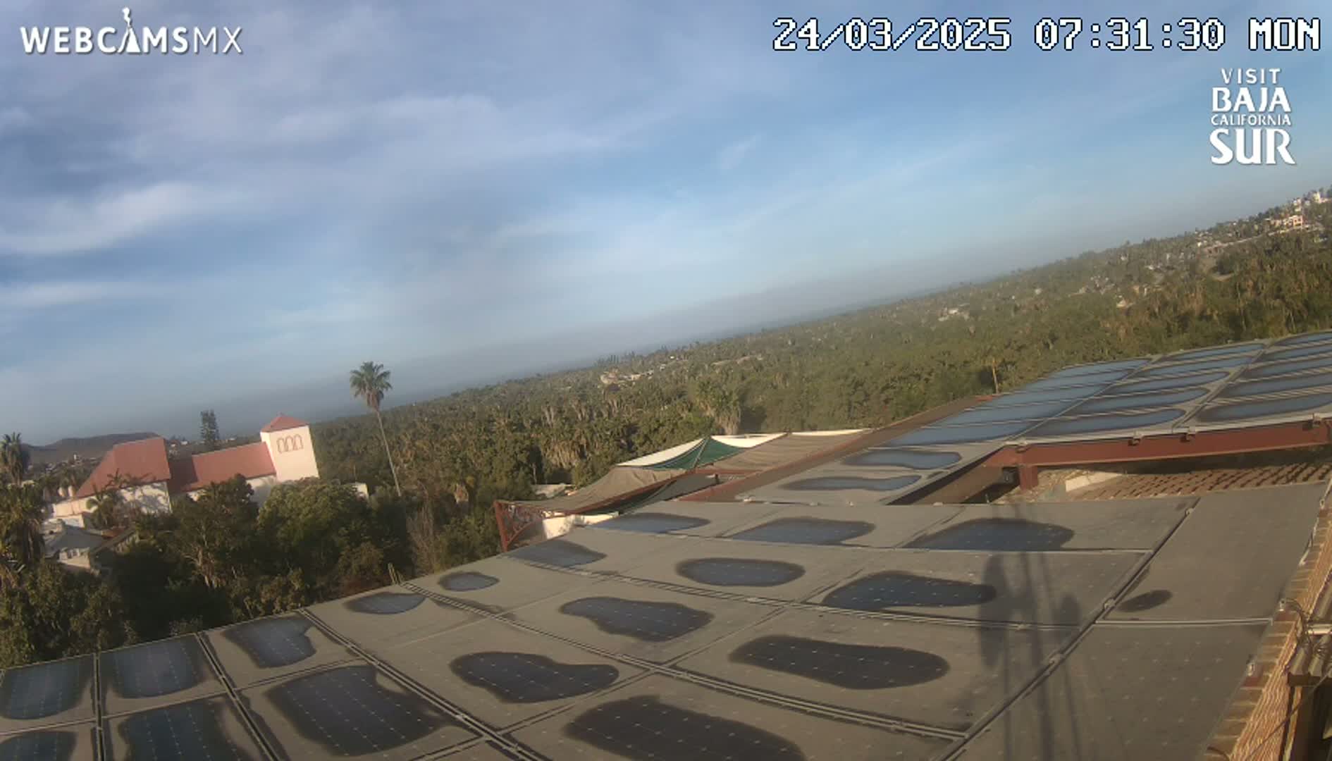 A mostly sunny view overlooking a sprawling landscape of palm trees and buildings, with a foreground featuring a large solar panel array on a roof.
