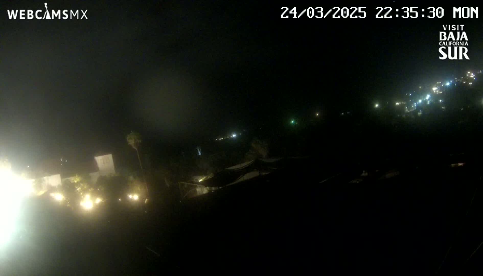 A nighttime, hazy view of dimly lit buildings and vegetation.