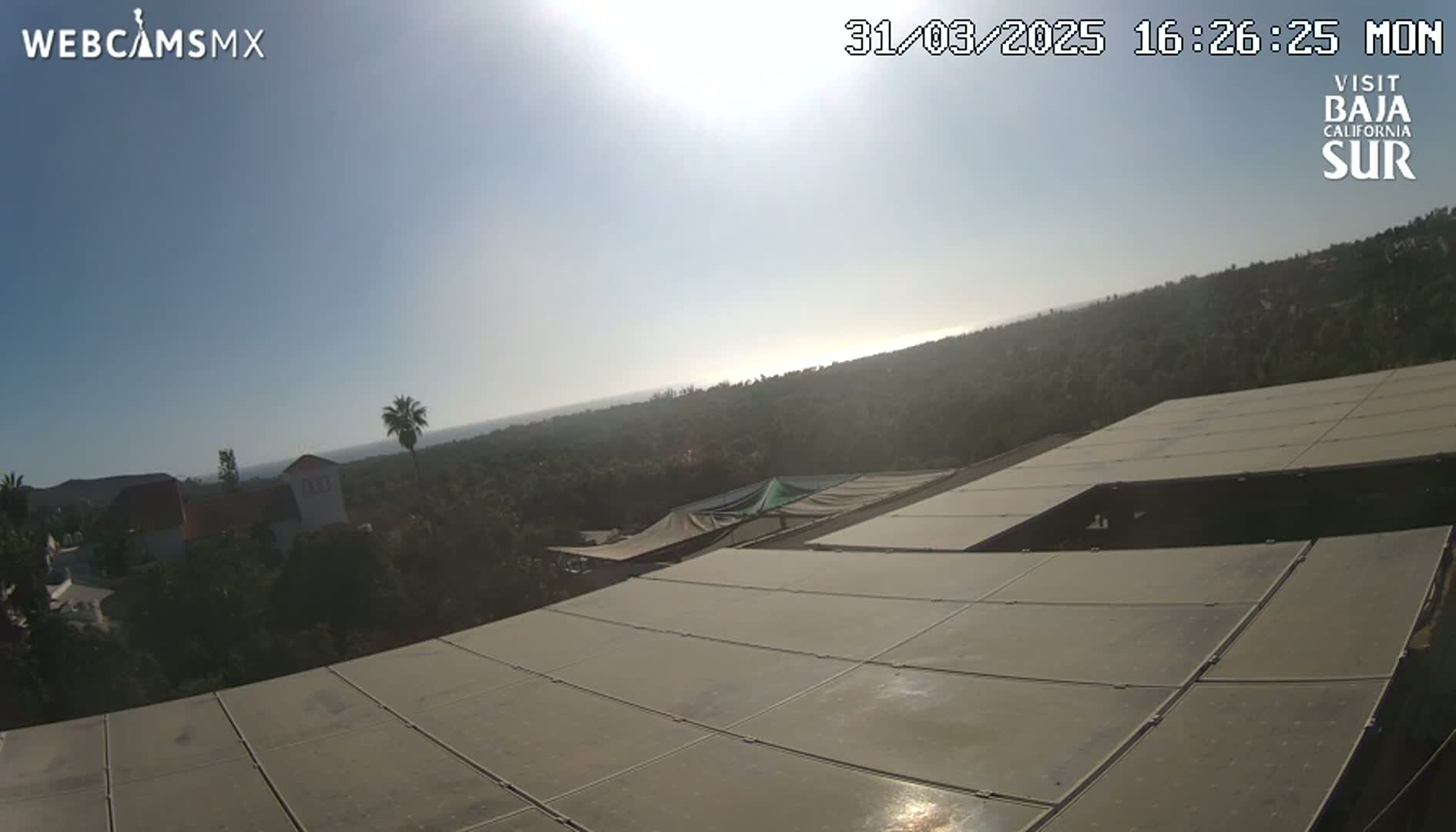 A sunny, elevated view shows a large expanse of solar panels, with a distant ocean and vegetated hills visible under a clear sky.