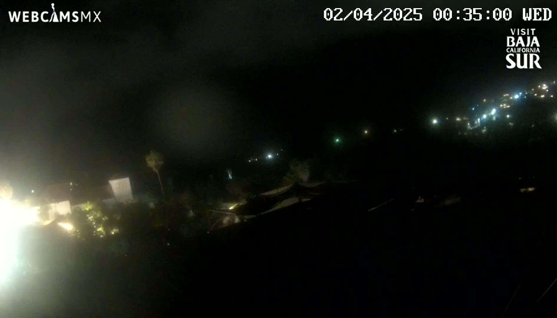 A nighttime, hazy view of a small town with scattered lights, some vegetation, and buildings.