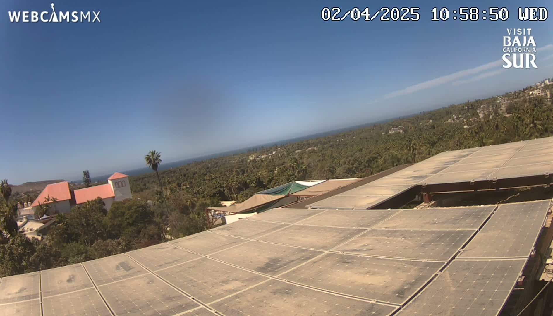 A view from a rooftop covered in solar panels shows a clear, sunny day overlooking a coastal town with palm trees and buildings, including a light pink building, and the ocean in the distance.