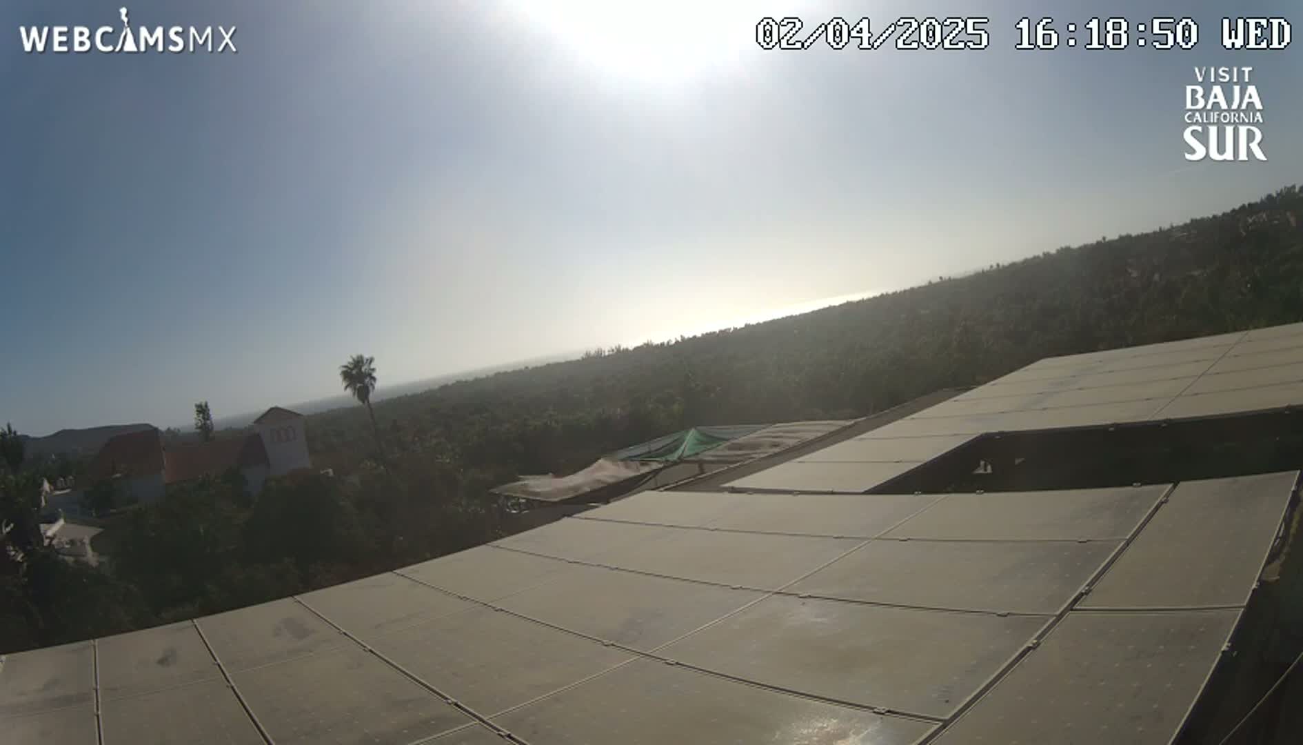 A hazy, sunny day overlooks a large solar panel array situated above a landscape of green trees, distant buildings, and a coastline.