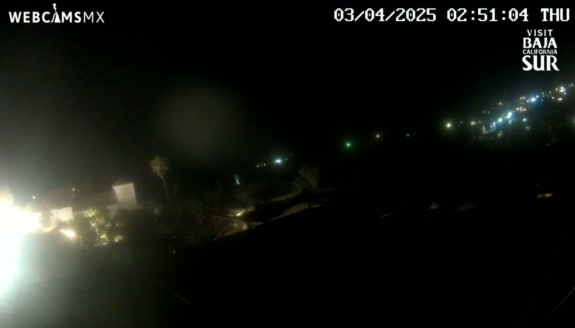 A nighttime, dimly lit view of buildings and vegetation, with some distant lights visible in the background.