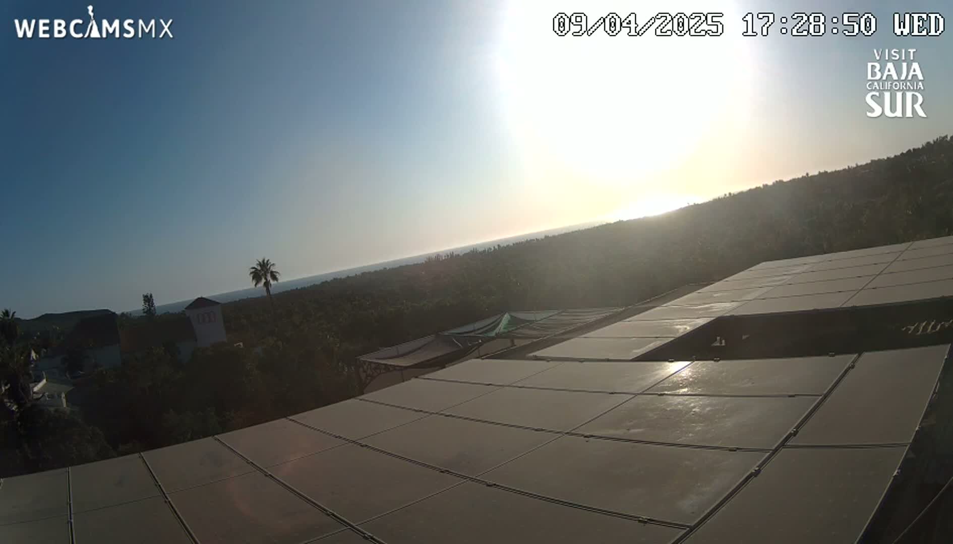 A mostly sunny view overlooking a partially-wooded landscape and ocean, showing a large, flat expanse of solar panels in the foreground.
