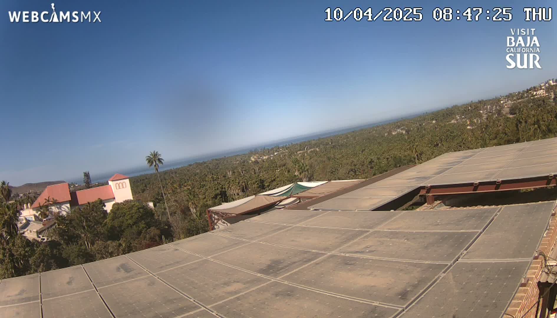 A large flat roof with solar panels overlooks a coastal landscape of trees and a building under a clear blue sky.