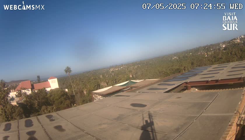 A clear, sunny day overlooks a sprawling landscape of trees and buildings from a rooftop with a flat, tiled surface showing several footprints.
