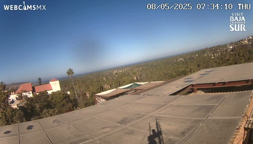 A flat, tiled roof overlooks a sun-drenched landscape of palm trees, buildings, and a distant ocean under a clear blue sky.
