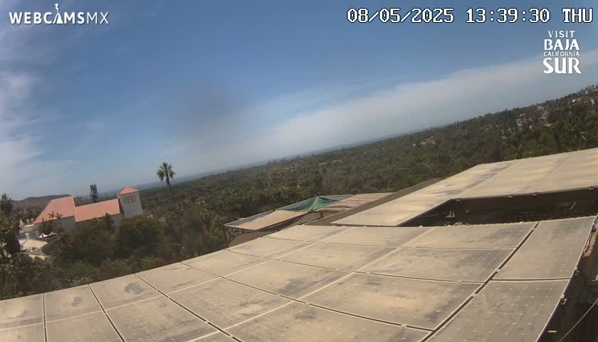 A dusty, light-brown solar panel array sits atop a building overlooking a sunny, tree-covered landscape and a distant ocean under a mostly clear blue sky.