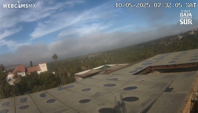 A hazy morning scene shows a flat roof with numerous circular skylights overlooking a landscape of buildings and trees under a partly cloudy sky.
