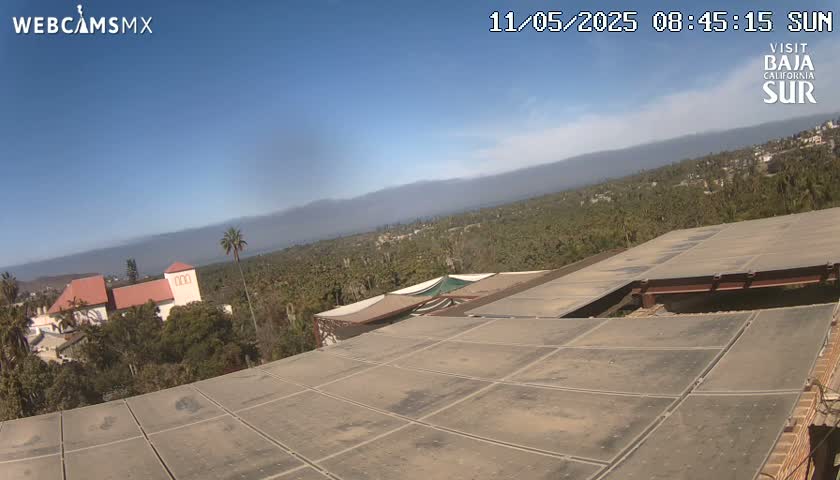 A flat, tiled rooftop overlooks a sunny landscape of palm trees, buildings, and distant mountains under a clear blue sky.