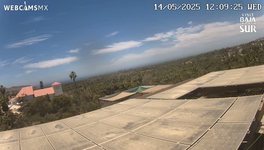 A mostly sunny day reveals a large expanse of dusty solar panels atop a building overlooking a landscape of palm trees and a pink building.