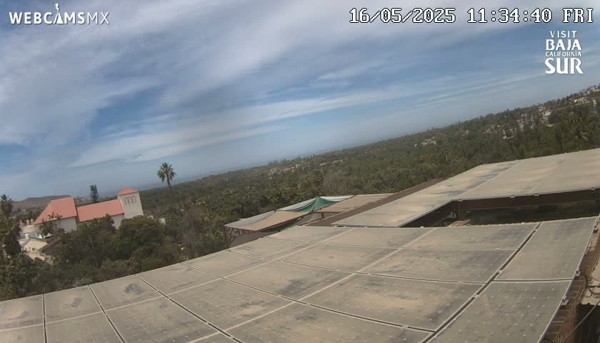 A partly cloudy sky overlooks a large expanse of solar panels on a rooftop, with a building and lush vegetation in the distance.