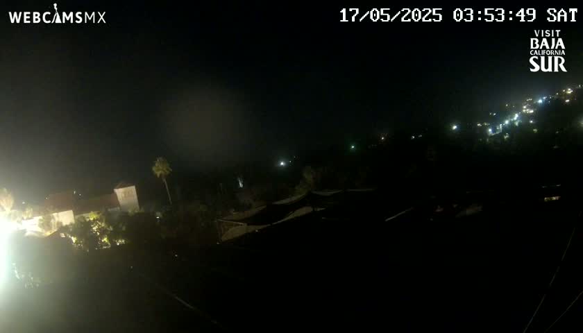 A nighttime view of dimly lit buildings and vegetation under a dark sky.
