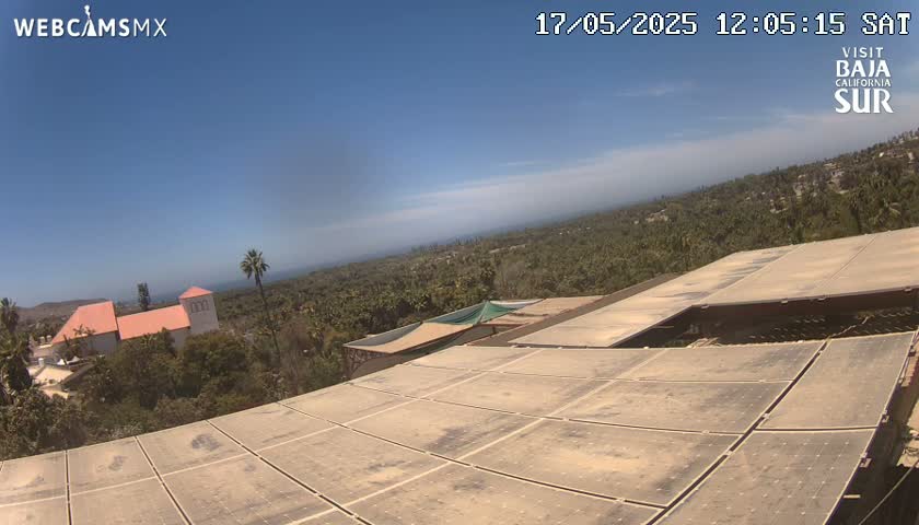 A large array of solar panels sits atop a building overlooking a clear, sunny landscape of palm trees, a distant ocean, and a light-pink building.