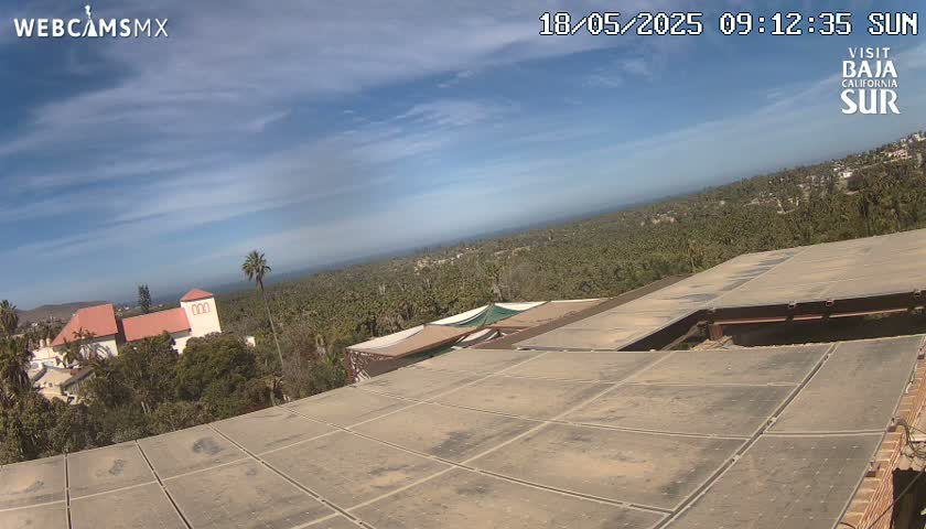 A mostly sunny day overlooks a flat, gridded rooftop with a view of palm trees, buildings, and ocean in the distance.