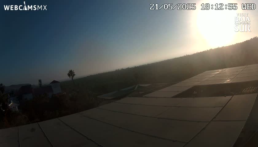 A hazy sunset illuminates a large solar panel array overlooking a residential area with a few palm trees.