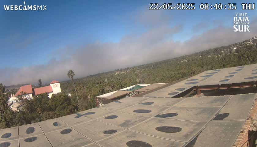 A mostly clear day with low-lying fog reveals a large building with a red roof and palm trees, viewed from a rooftop with a patterned, possibly solar, paneling.