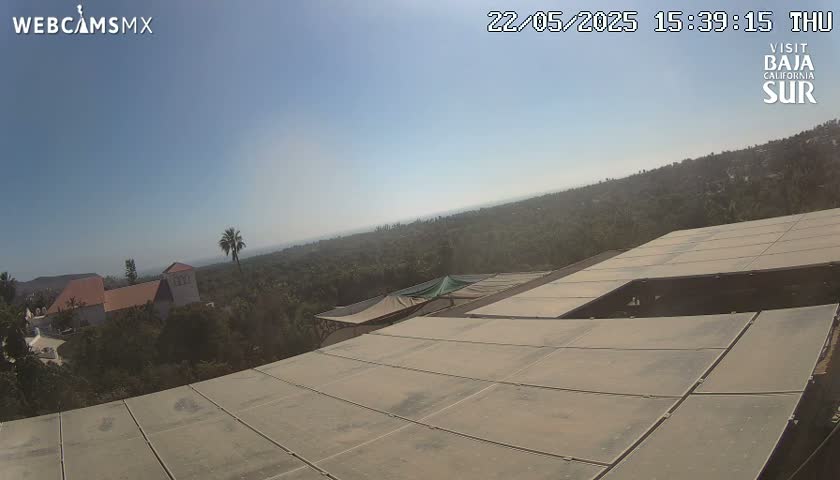 A large, flat, light-brown surface, possibly a rooftop, overlooks a sun-drenched landscape of trees and buildings under a clear, blue sky.