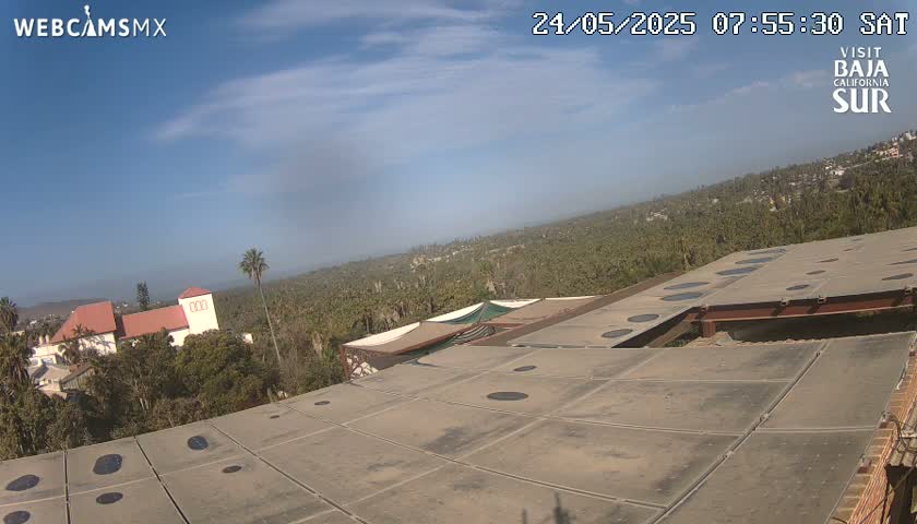 A flat rooftop with numerous circular openings overlooks a sunny landscape of palm trees and buildings under a mostly clear blue sky.